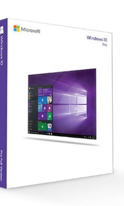 Windwows 10 Professional