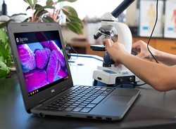 Dell Chromebook 11 3180