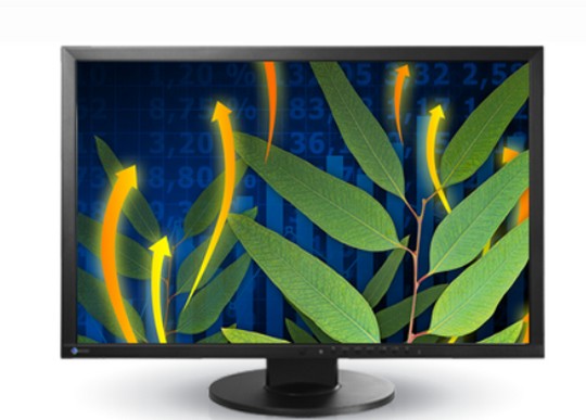 EIZO FlexScan EV2436W